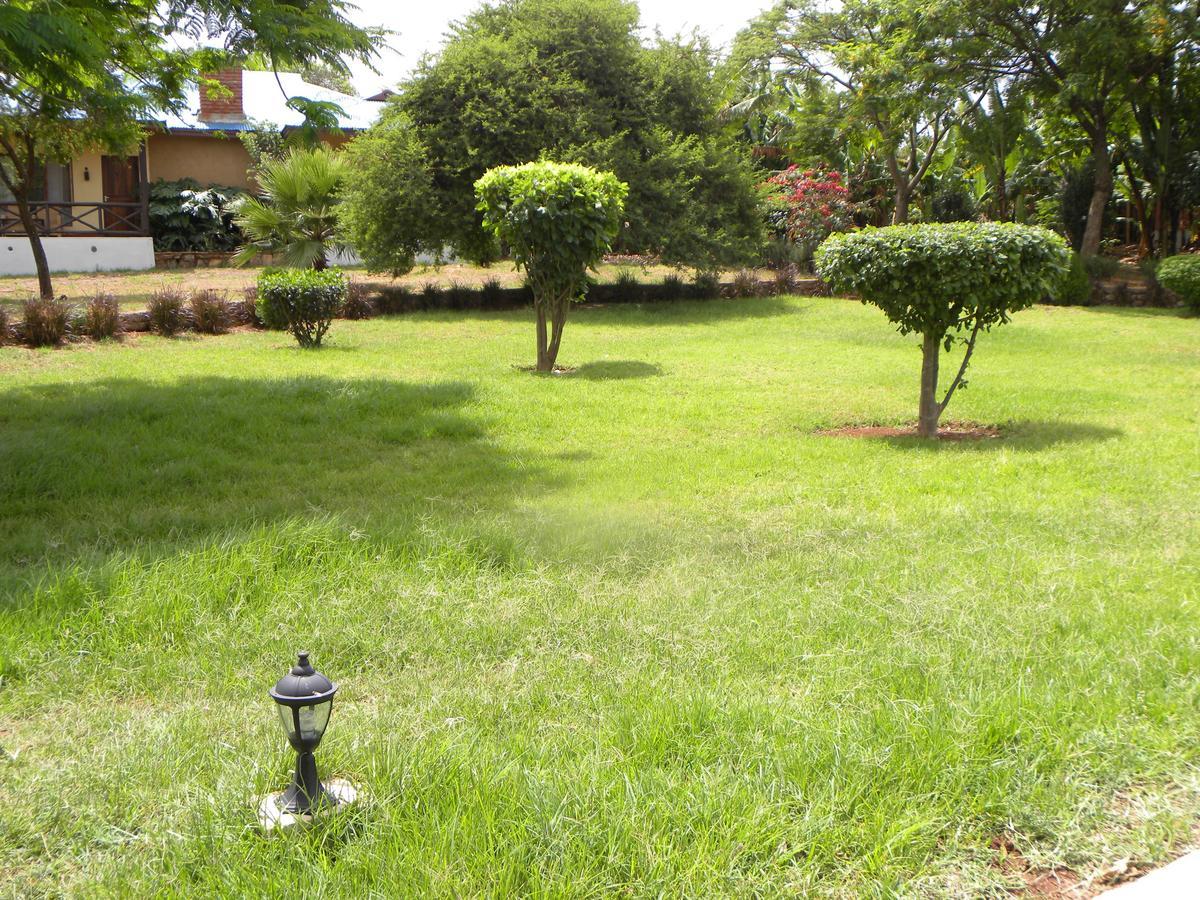 Olea Africana Lodge Karatu Buitenkant foto