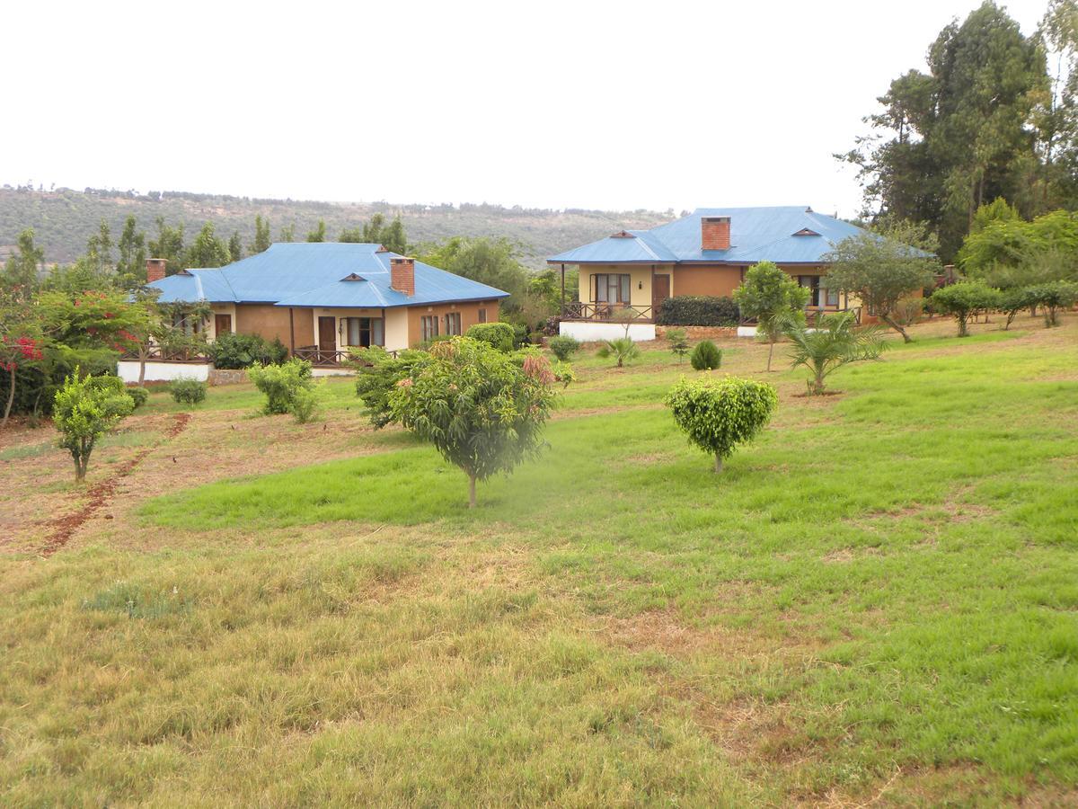 Olea Africana Lodge Karatu Buitenkant foto